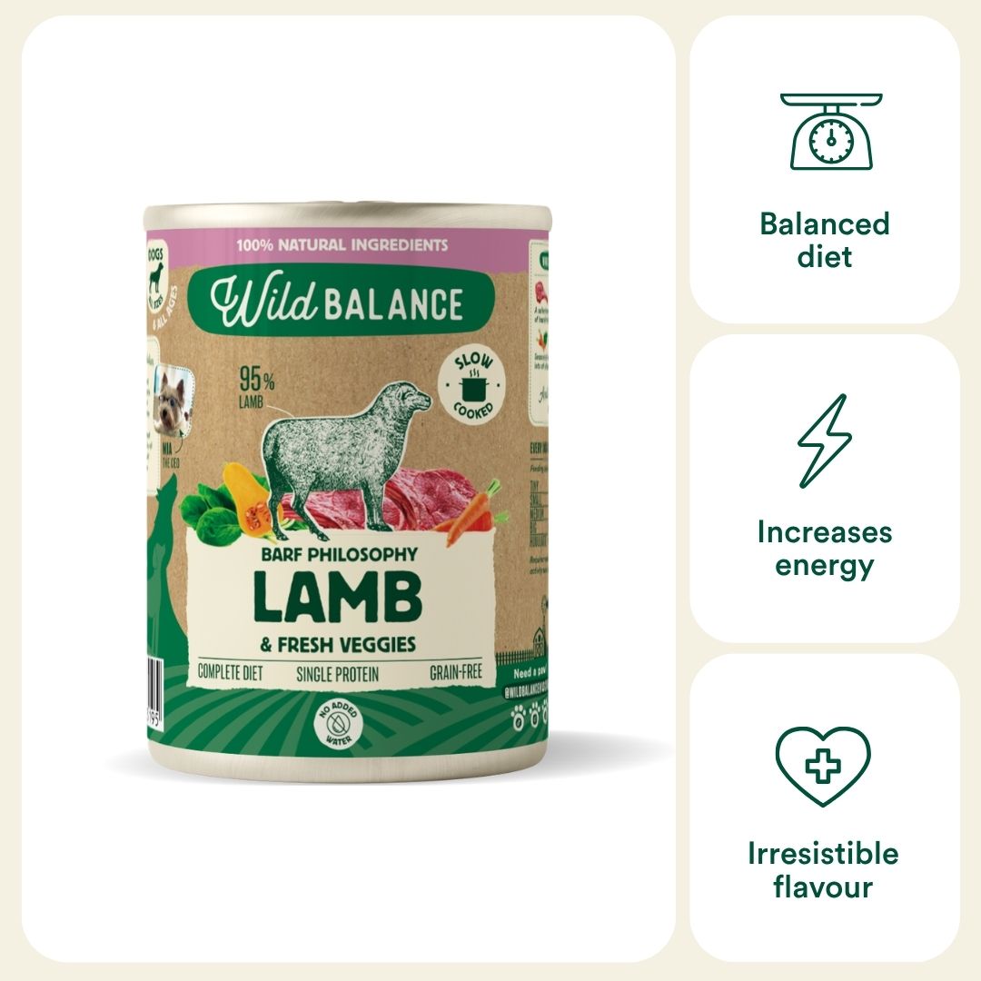 Wild Balance Single Protein Wet Dog Food with Lamb