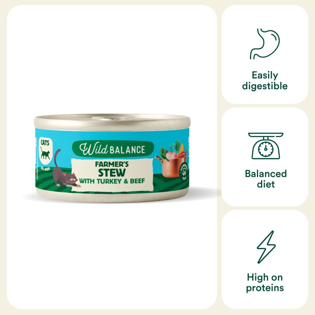 Wild Balance wet cat food with turkey and beef