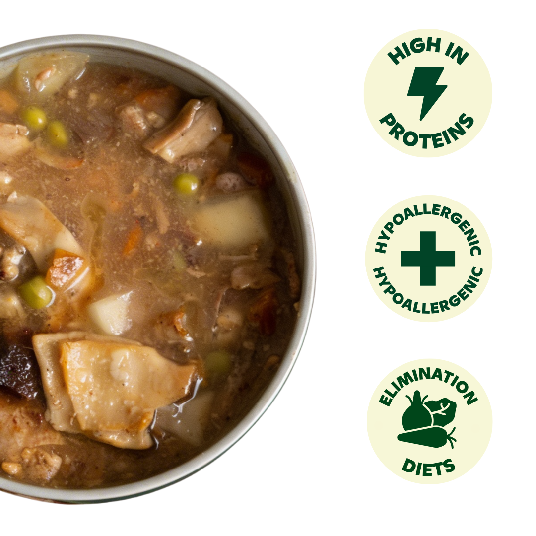 Wild Balance Stew for dogs with pork and pumpkin