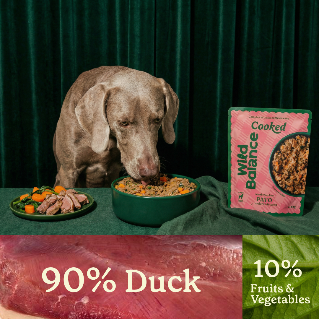 Wild Balance Cooked Dog Food with Duck