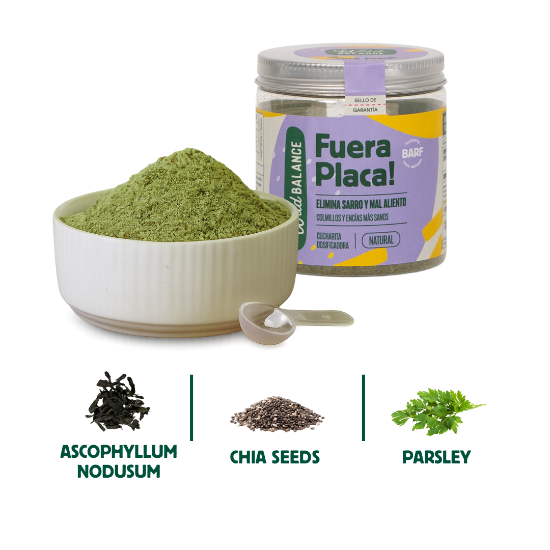 Dietary supplement for dogs' teeth and oral care "Wild Balance Bye Bye Plaque"