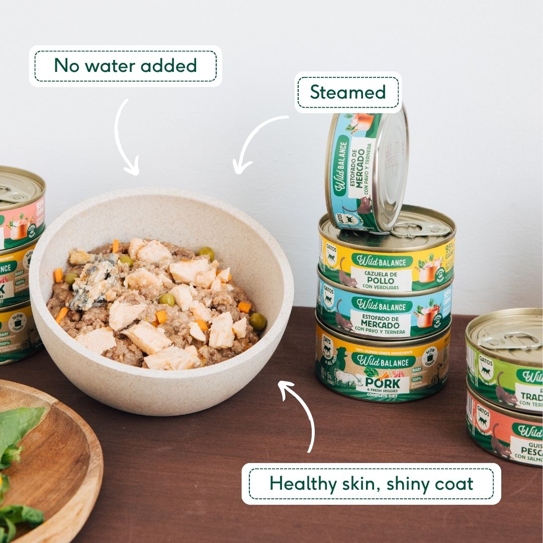 Wild Balance wet food for cats with chicken