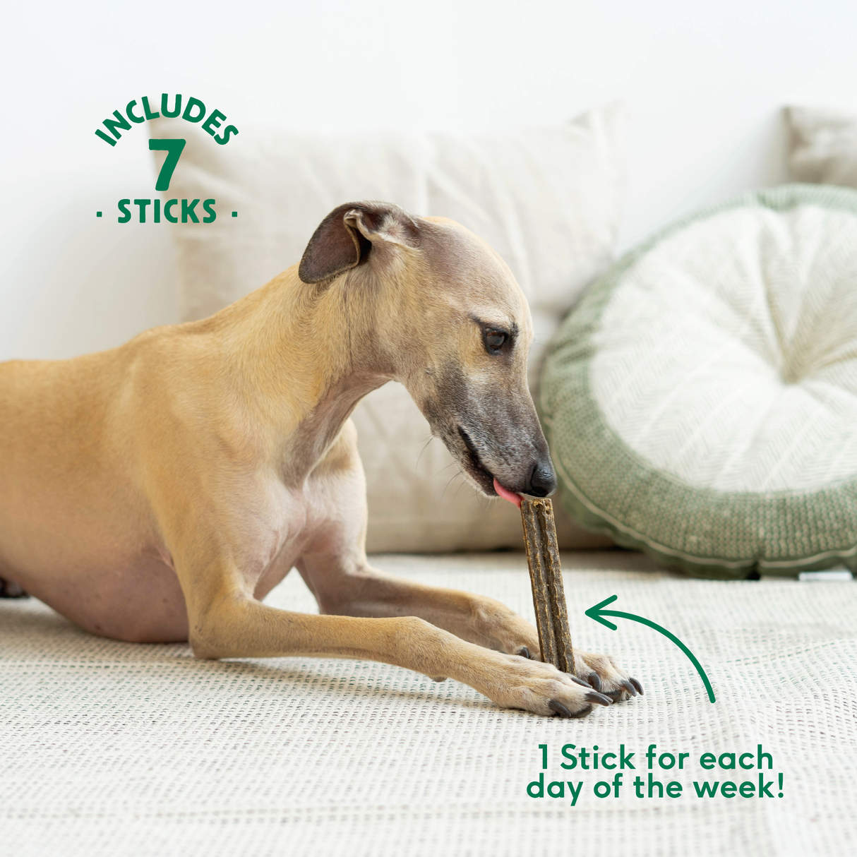 Wild Balance Dental Sticks for Dogs with Beef – for tartar removal
