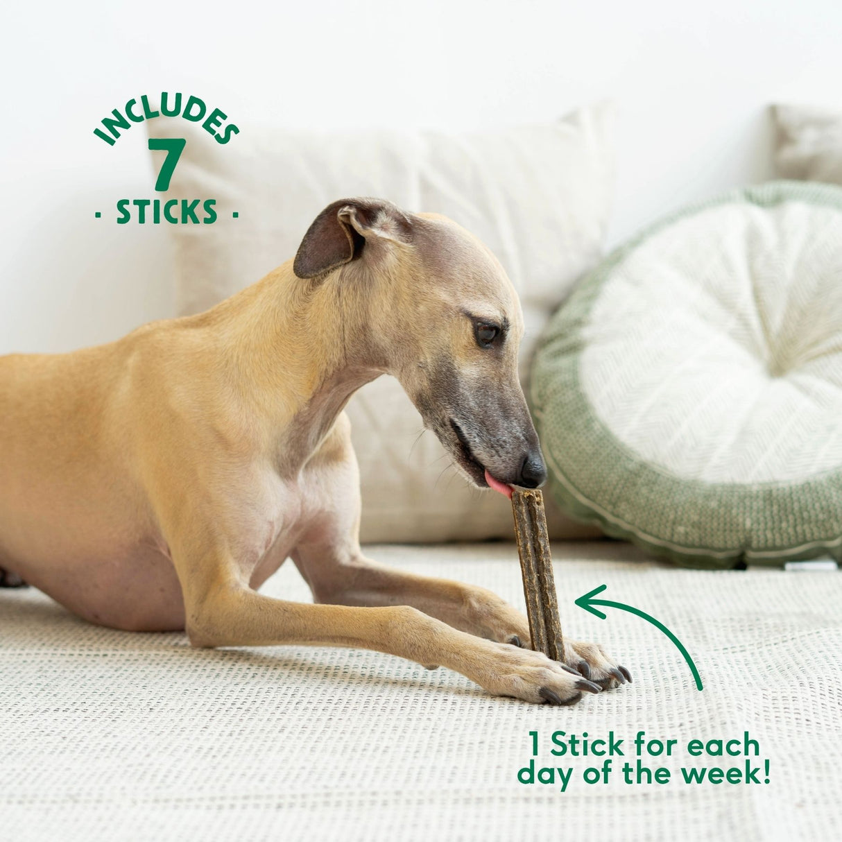 Wild Balance Dental Sticks for Dogs with Rabbit, Chamomile and Sage – for sensitive stomachs