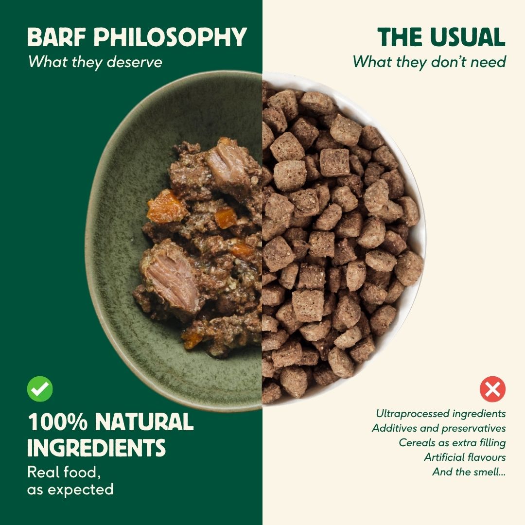 Wild Balance Single Protein Wet Dog Food with Lamb