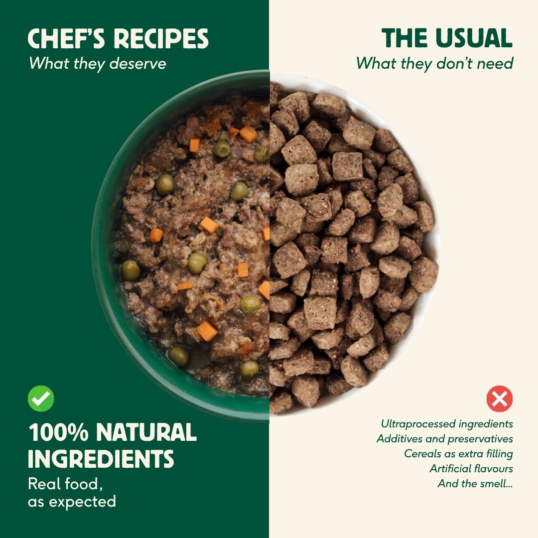 Wild Balance Wet Cat Food with Salmon and Pork