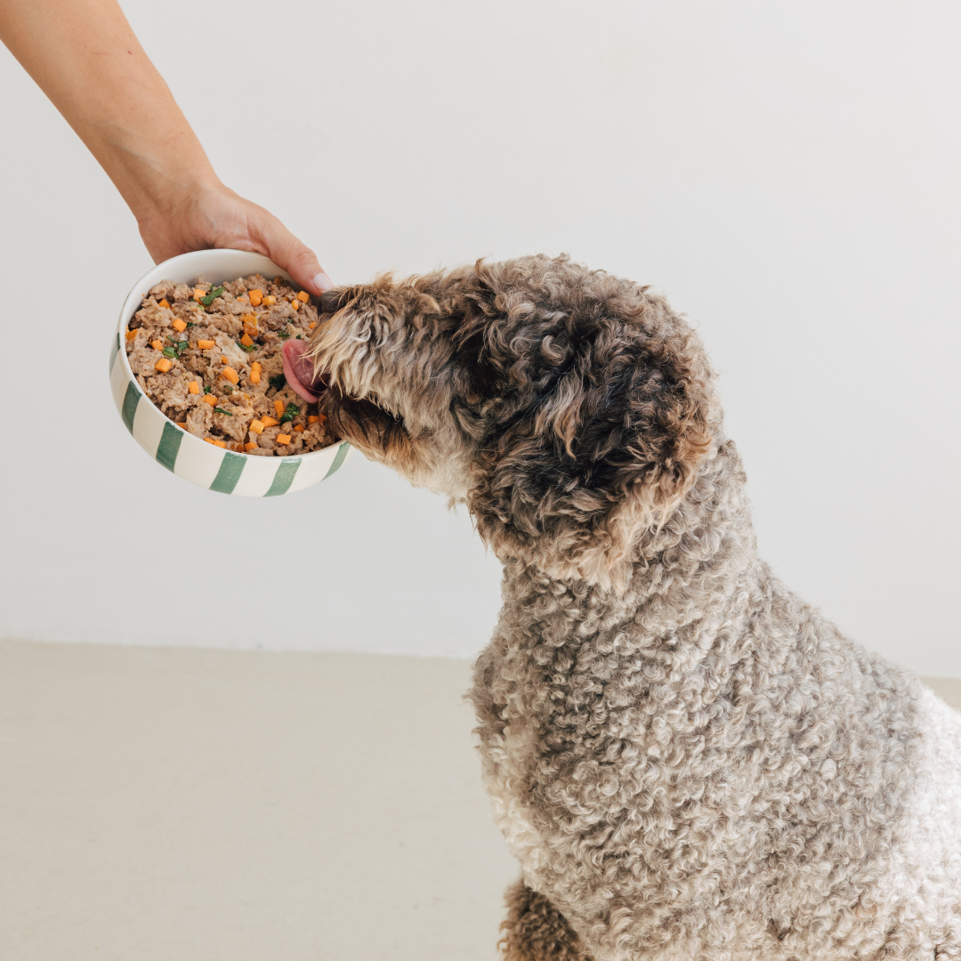 Wild Balance Single Protein Wet Dog Food with Pork