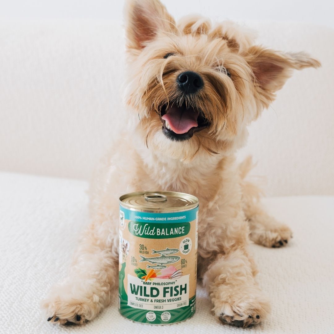 Wild Balance Wet Dog Food with Wild Fish and Turkey