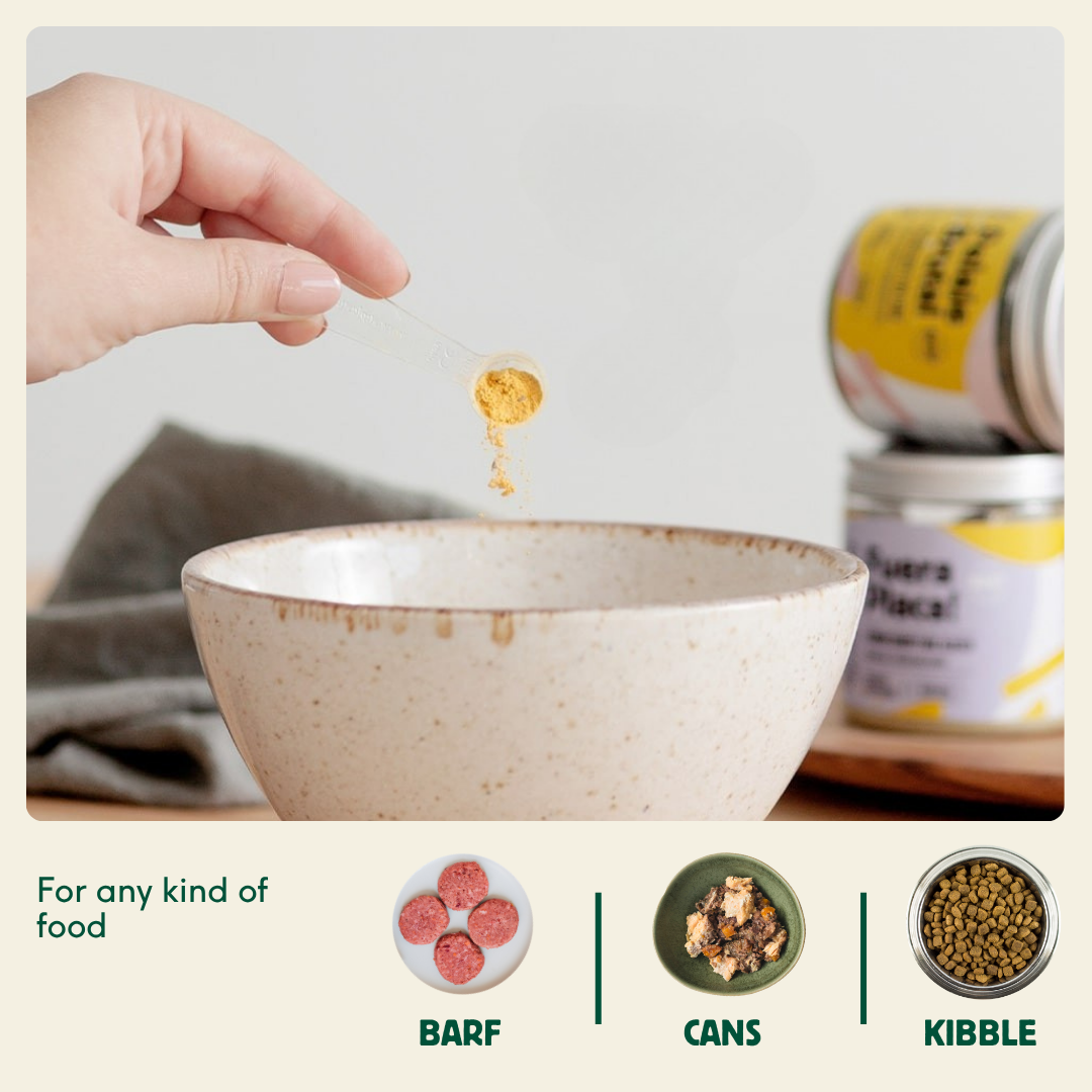 Food supplement for dogs for digestion "Wild Balance Firm Poops"