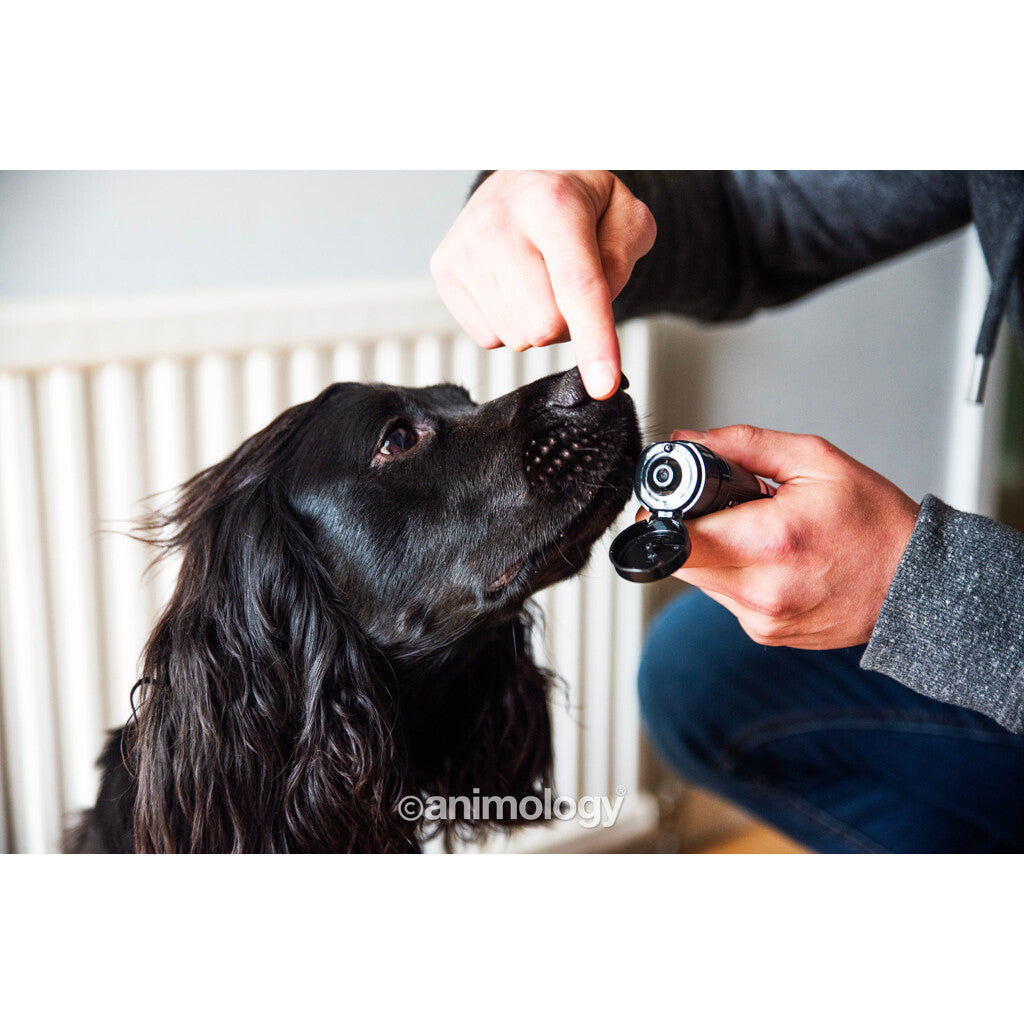 Animology Paws & Nose Balm (50 ml)