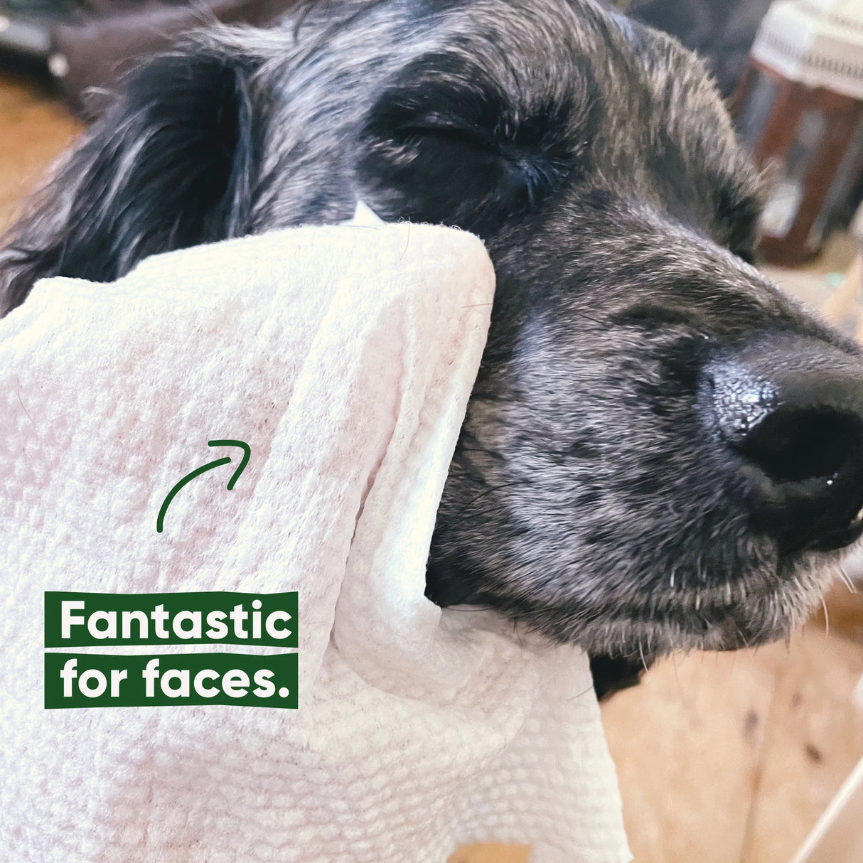 Beco Wet Bamboo Fibre Grooming Wipes for Dogs (Coconut Scent)