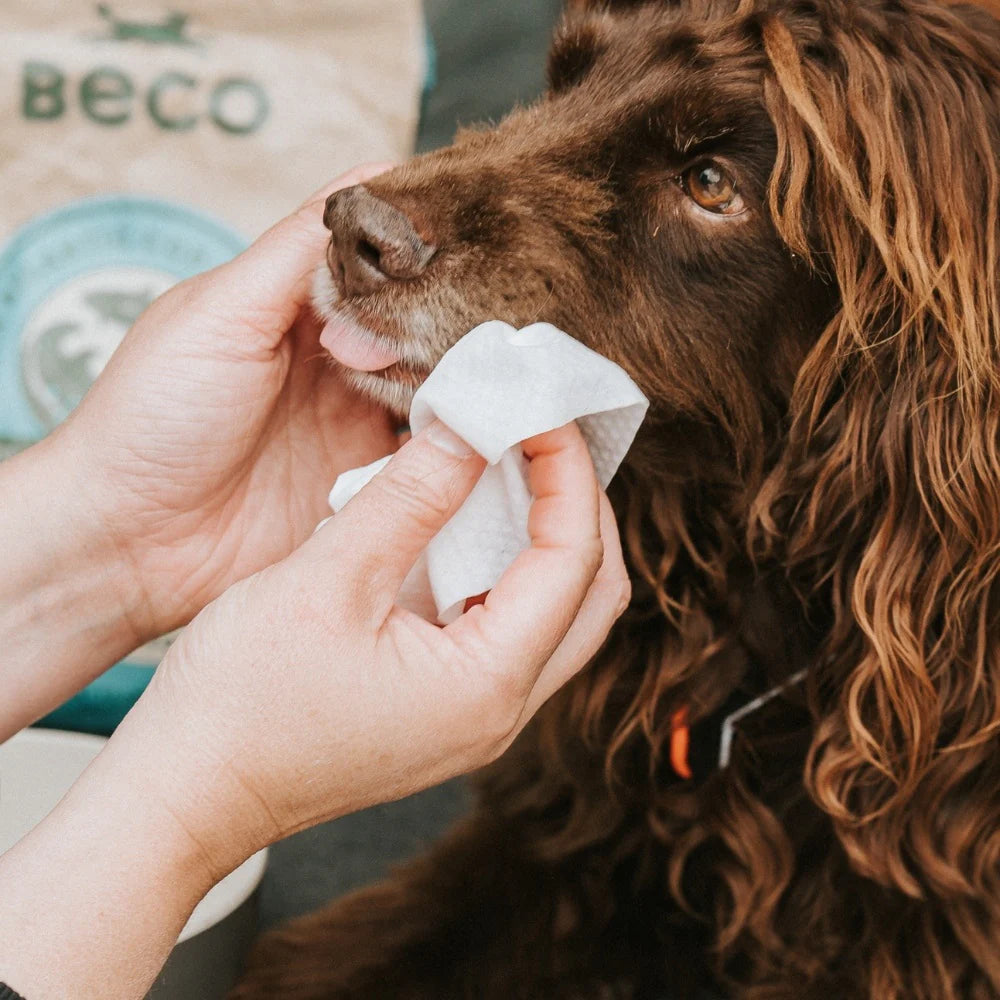 "Beco" Wet Travel Hygiene Wipes (coconut scent)