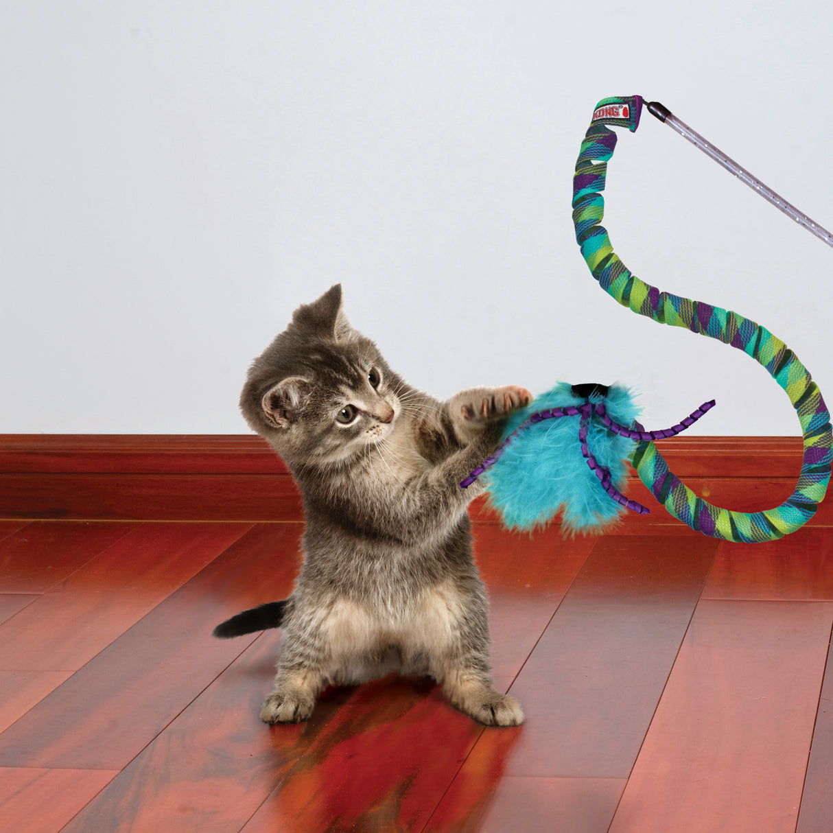 KONG Cat Teaser Curlz Toy