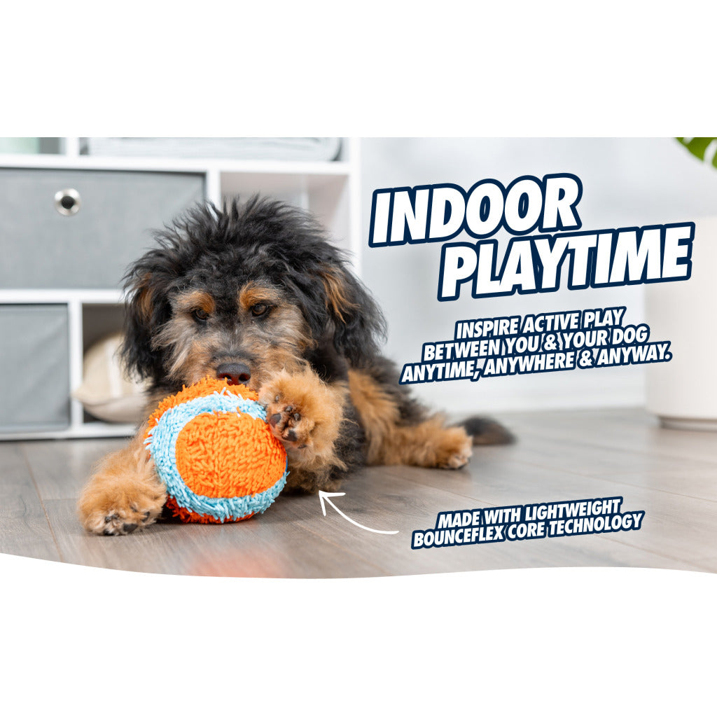 Soft indoor ball for dogs "Chuckit! Indoor Ball"