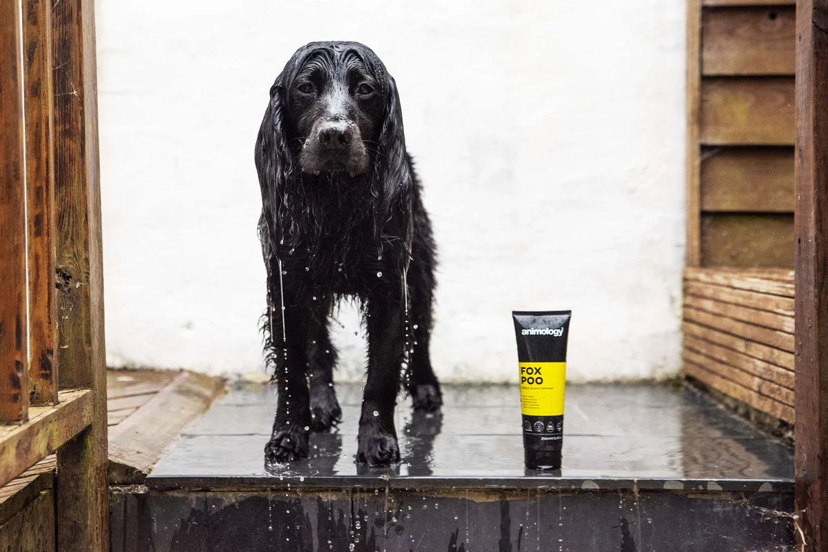 Animology Fox Poo Shampoo (250 ml)