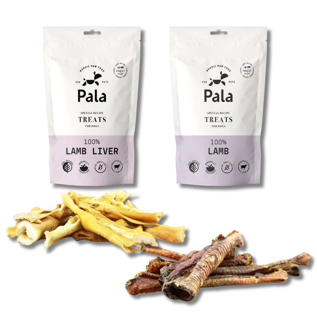 Lamb dog treat set
