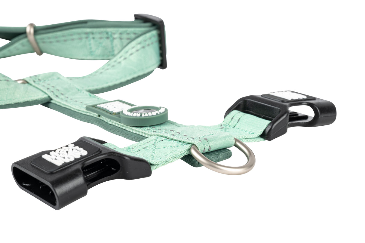 Petnešos su išmaniuoju ID "Max & Molly Matrix 2.0 Comfort H"