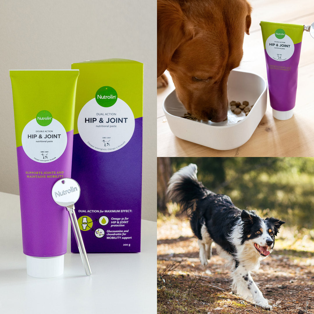 Pasta sąnariams šunims ir katėms "Nutrolin Hip & Joint"