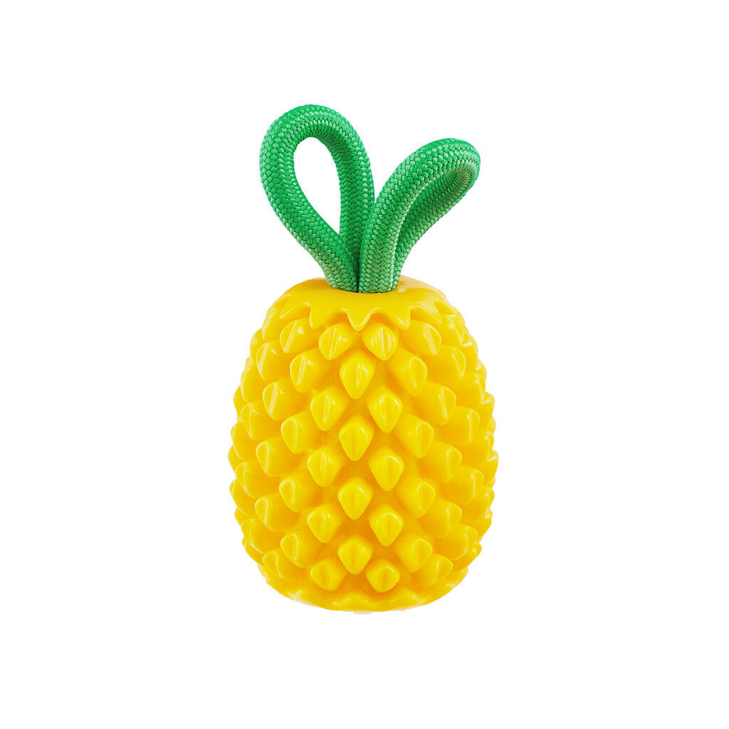 Dog toy pineapple "Outward Hound Dental Pineapple"
