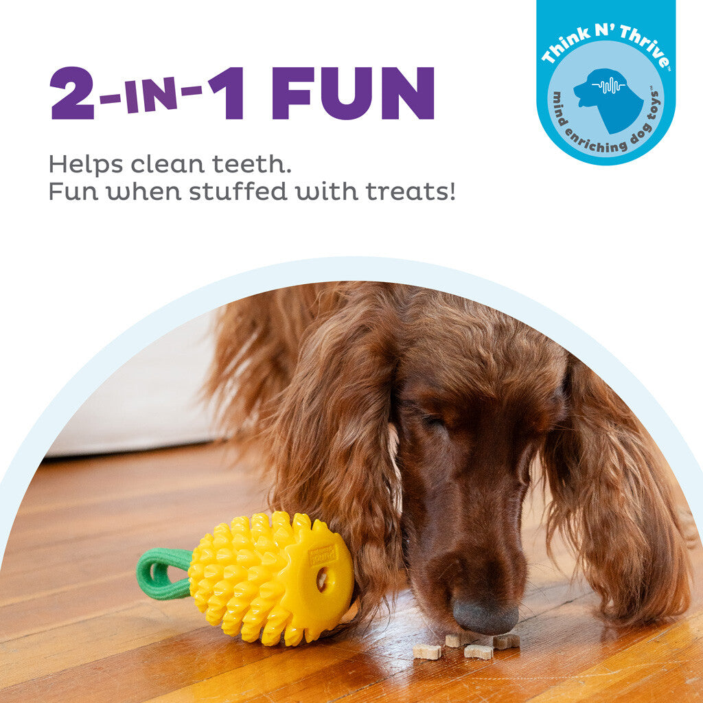 Dog toy pineapple "Outward Hound Dental Pineapple"