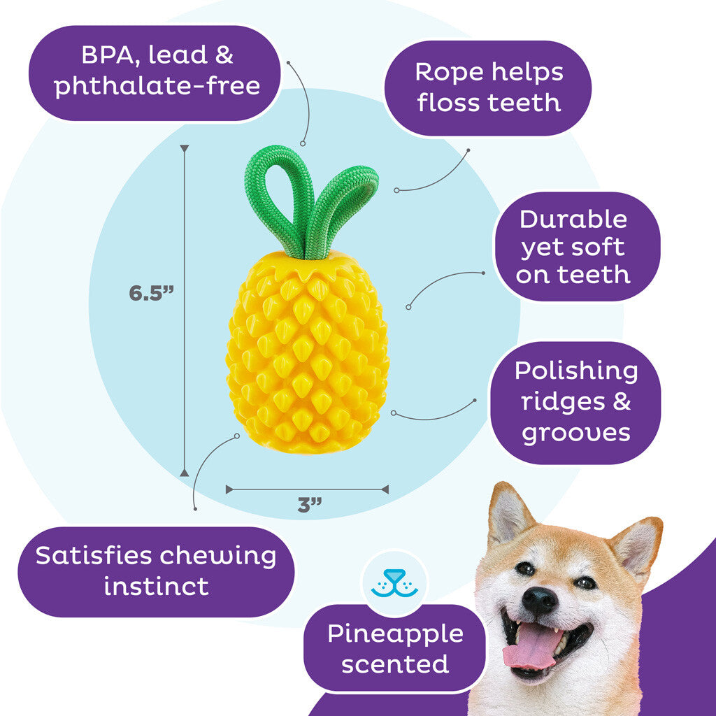 Dog toy pineapple "Outward Hound Dental Pineapple"