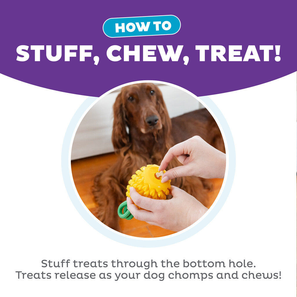 Dog toy pineapple "Outward Hound Dental Pineapple"