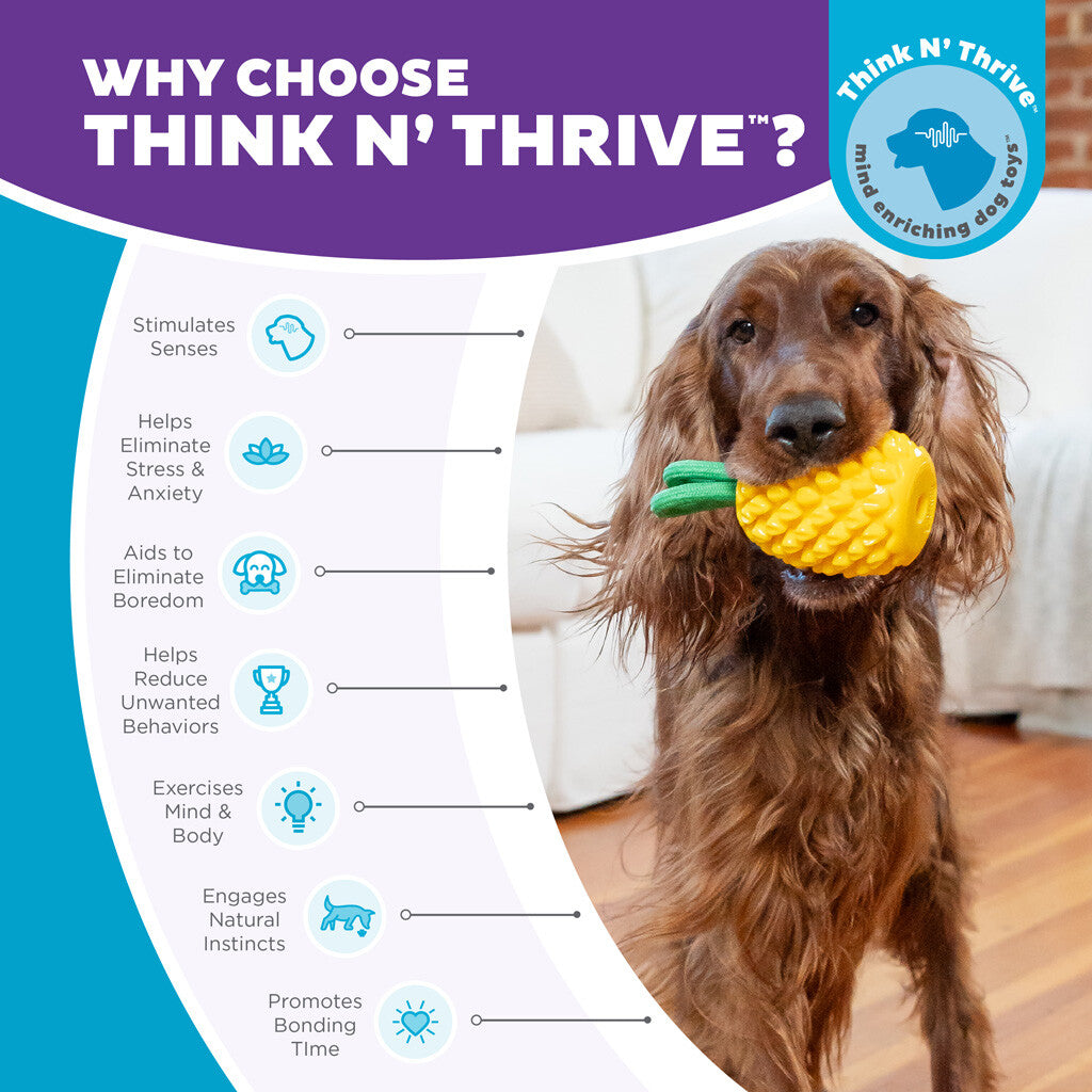 Dog toy pineapple "Outward Hound Dental Pineapple"
