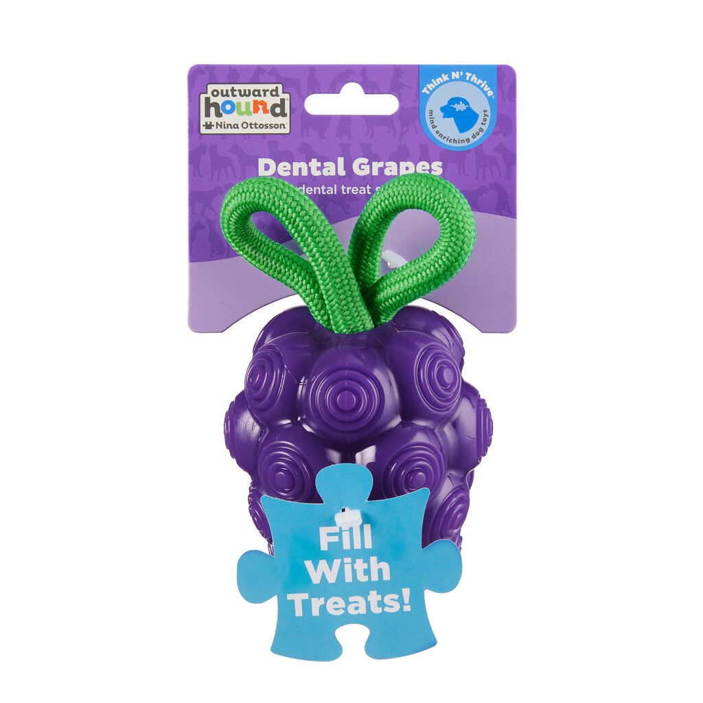 Dog toy grapes "Outward Hound Dental Grapes"