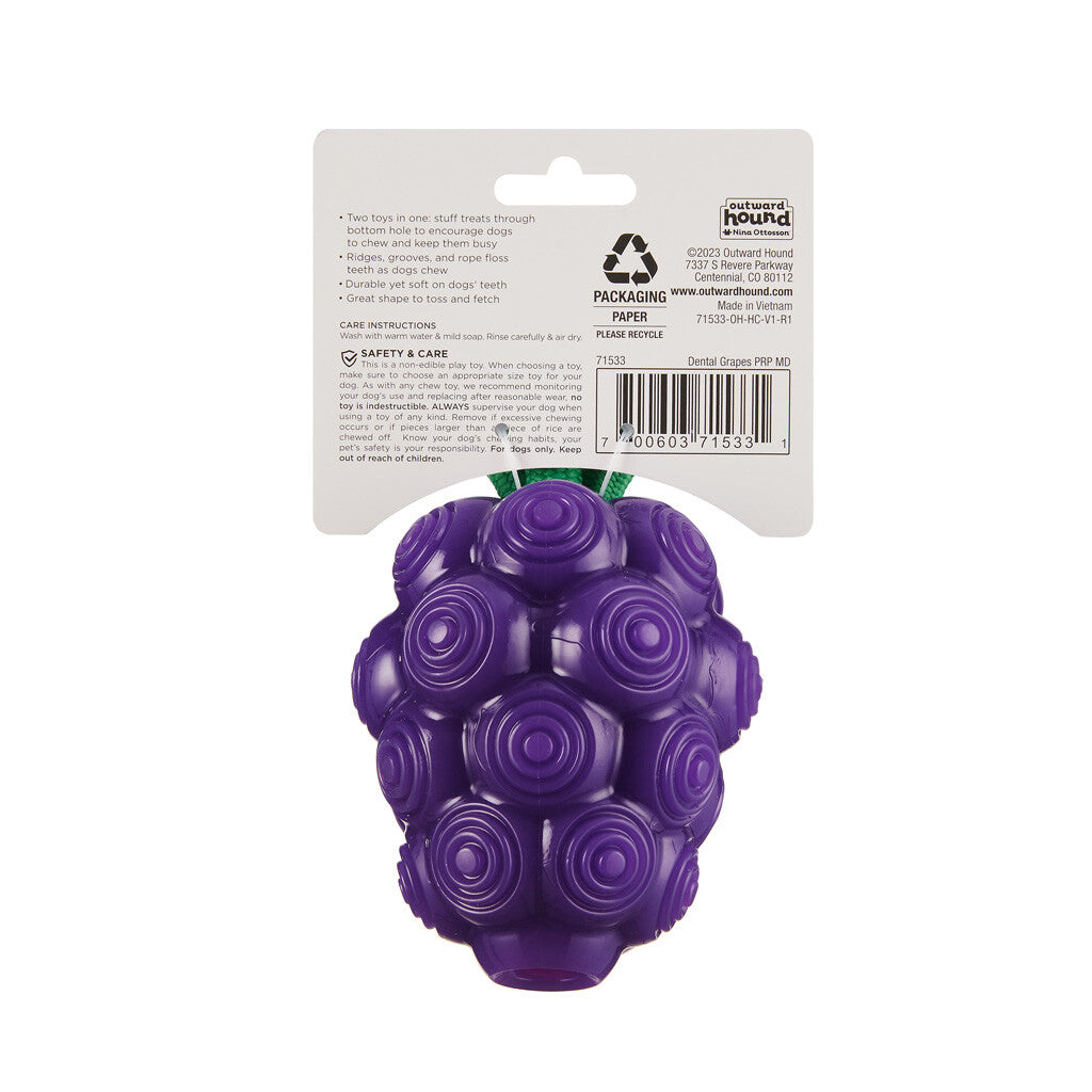 Dog toy grapes "Outward Hound Dental Grapes"
