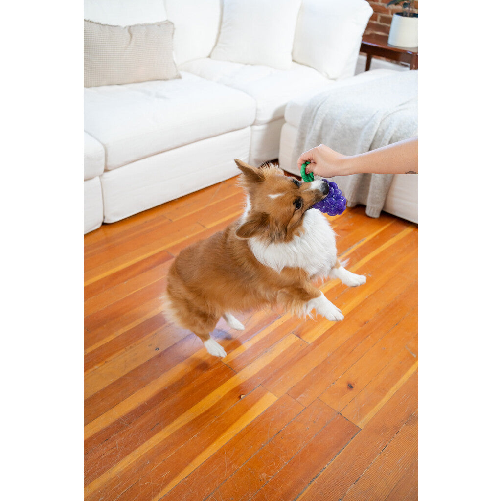 Dog toy grapes "Outward Hound Dental Grapes"