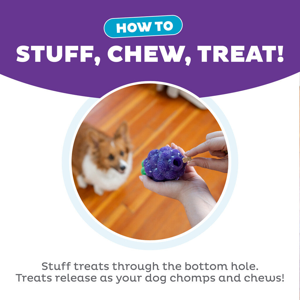 Dog toy grapes "Outward Hound Dental Grapes"