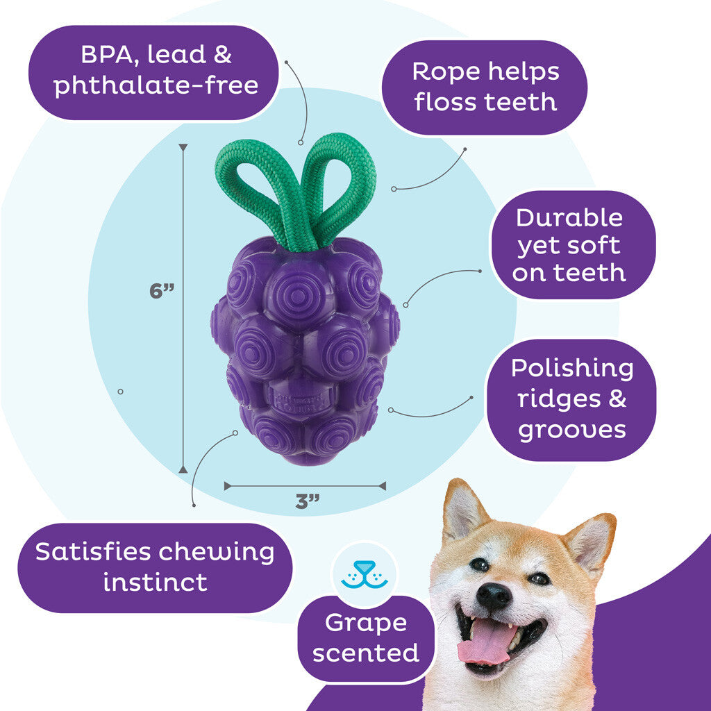 Dog toy grapes "Outward Hound Dental Grapes"