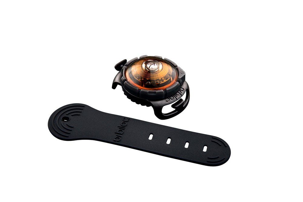 LED safety light for dogs "Orbiloc Dog Dual"