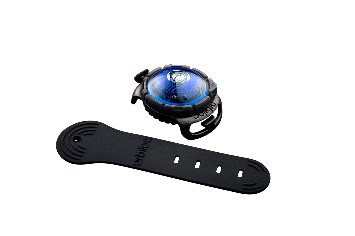 LED safety light for dogs "Orbiloc Dog Dual"
