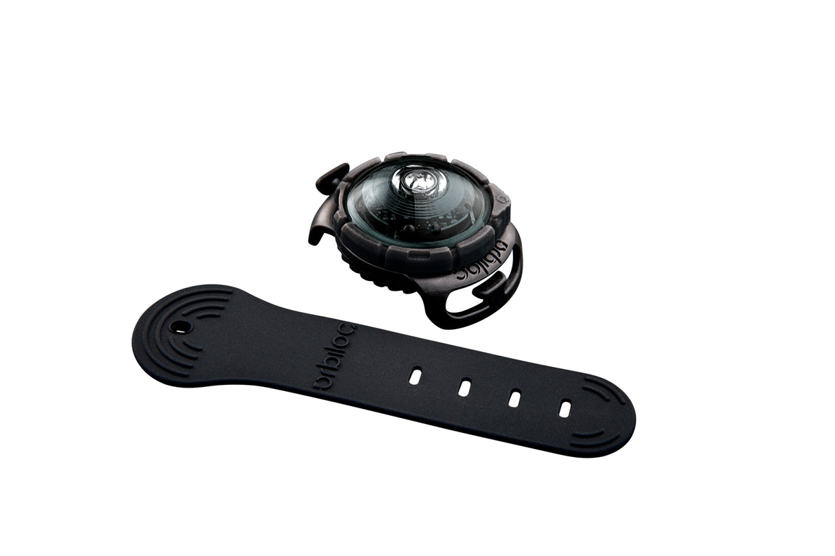 LED safety light for dogs "Orbiloc Dog Dual"