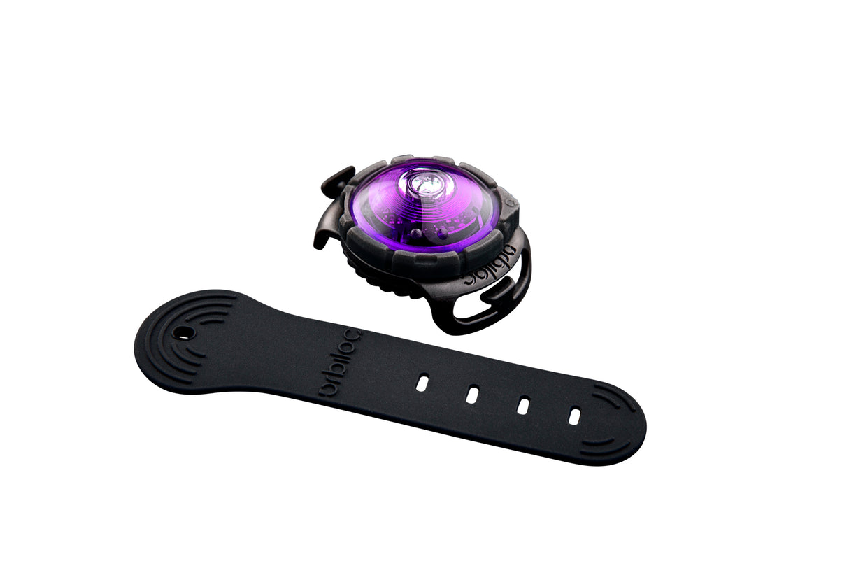 LED safety light for dogs "Orbiloc Dog Dual"