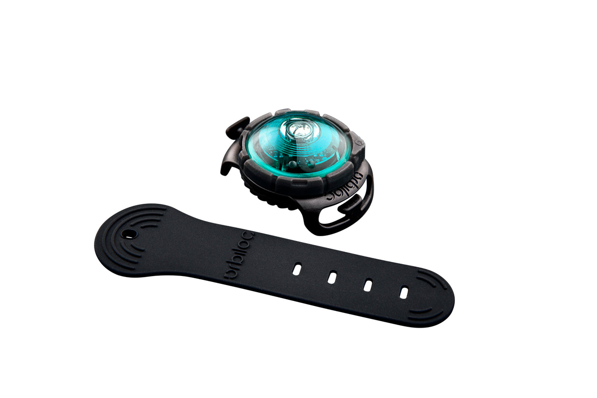 LED safety light for dogs "Orbiloc Dog Dual"