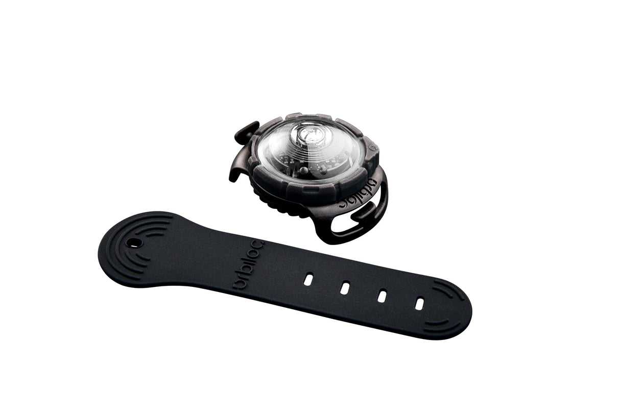 LED safety light for dogs "Orbiloc Dog Dual"