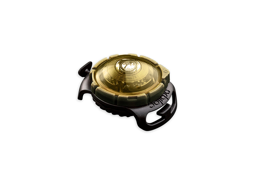 LED safety light for dogs "Orbiloc Dog Dual"