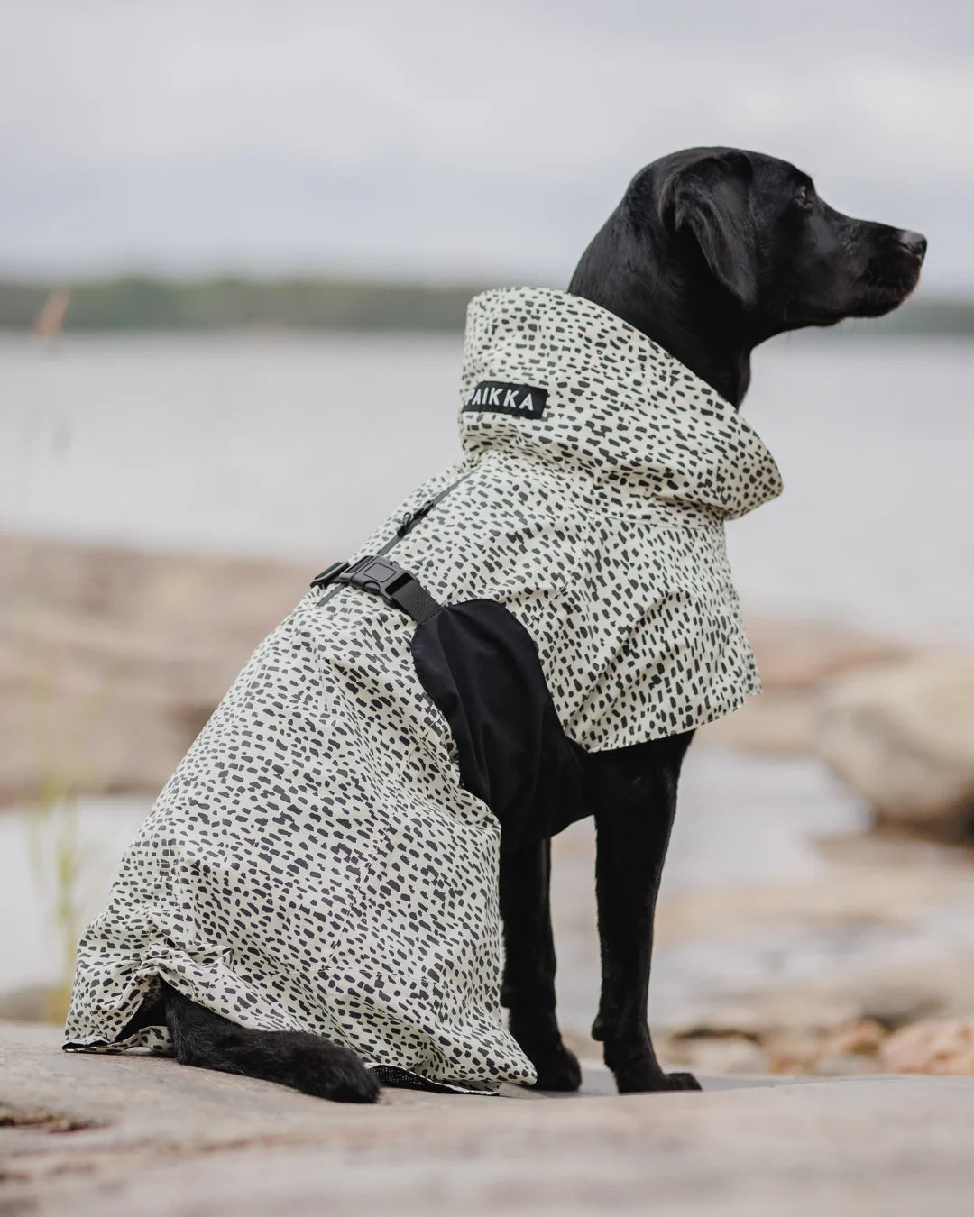Raincoat PAIKKA Raincoat 2.0
