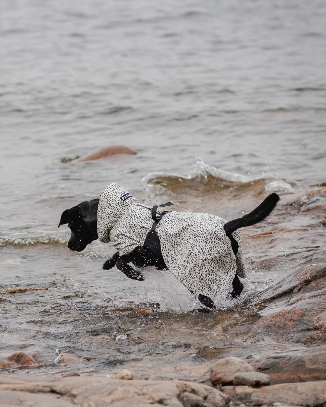 Raincoat PAIKKA Raincoat 2.0