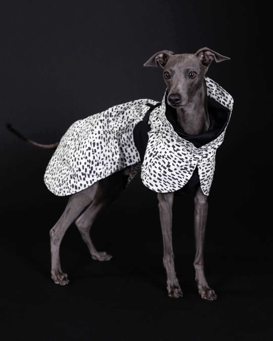 Raincoat PAIKKA Raincoat 2.0