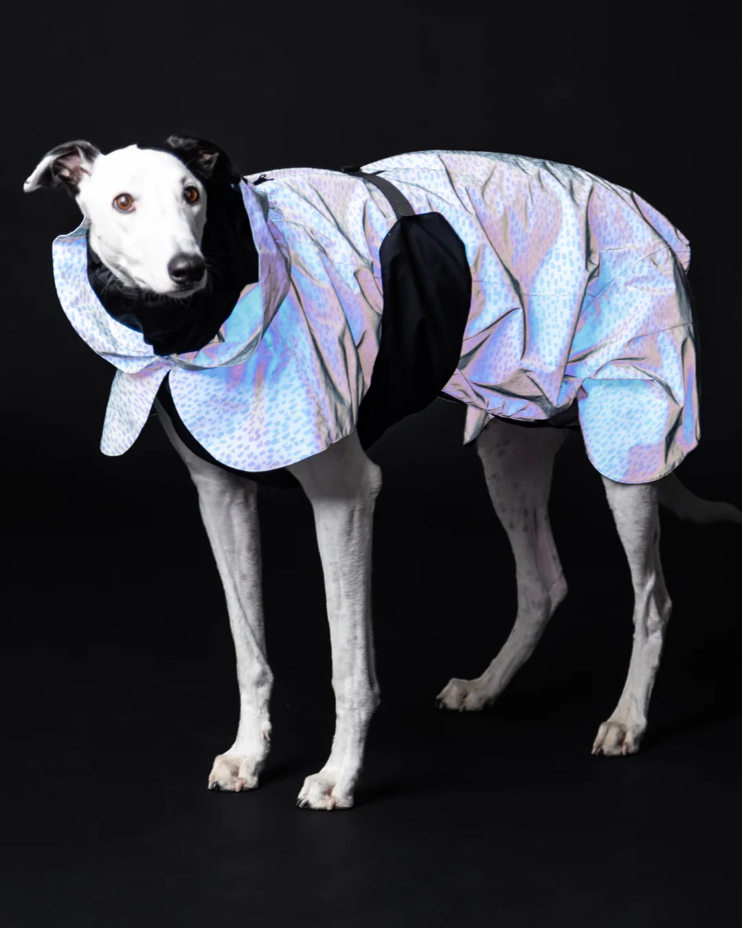 Raincoat PAIKKA Raincoat 2.0 Baby Blue