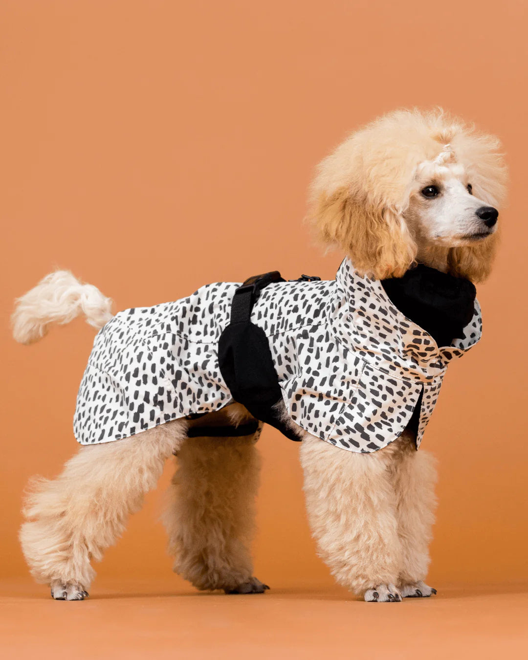 Raincoat PAIKKA Raincoat 2.0