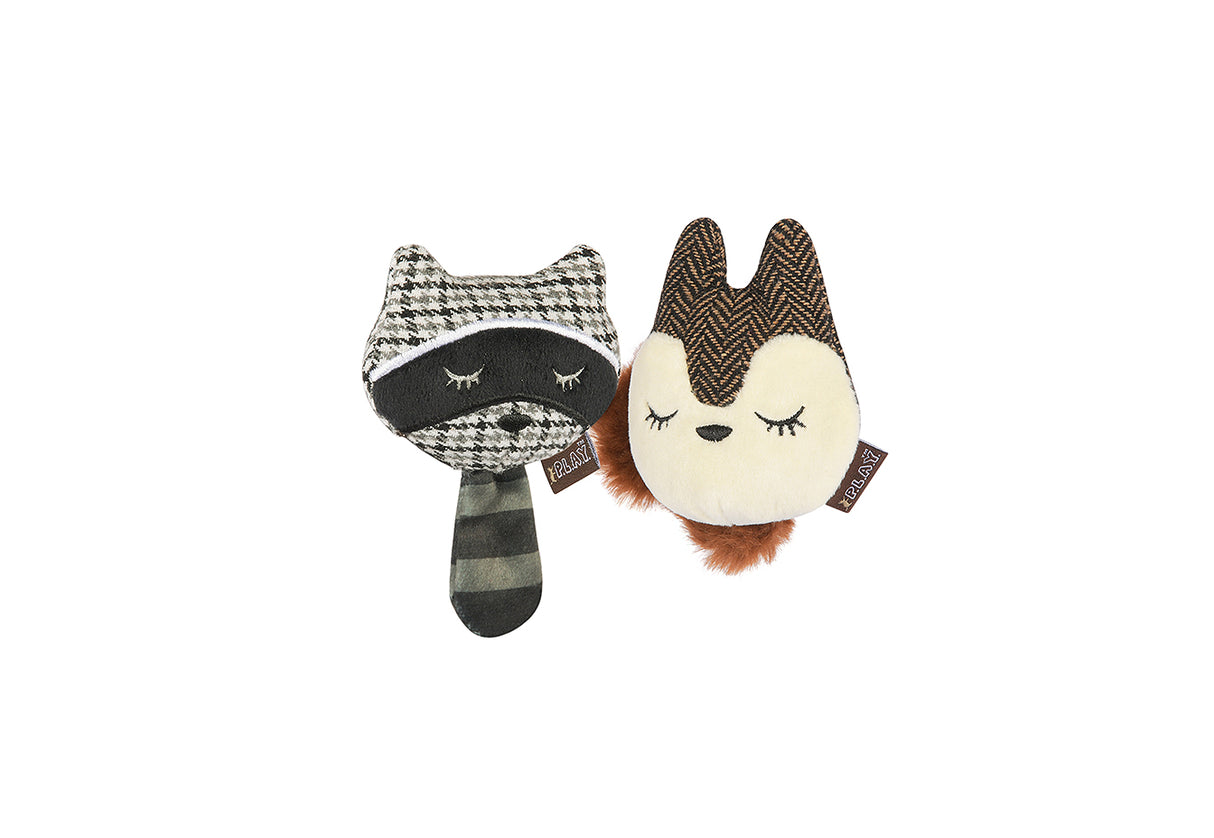 PLAY "Racoon & Squirrel"