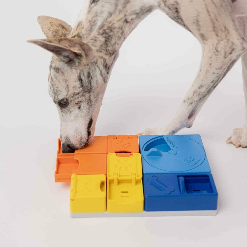 Pawzler Rainbow Set Puzzle for Dogs