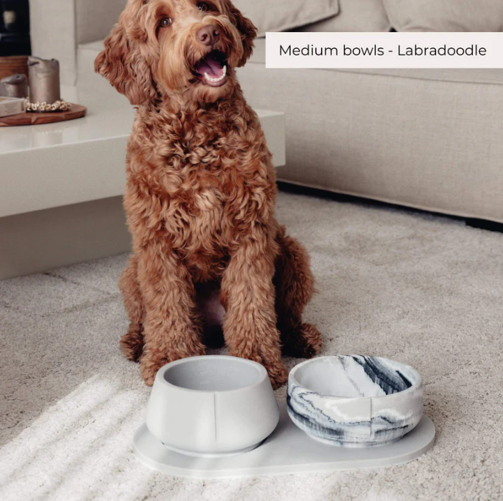 Dog bowl "Pino"