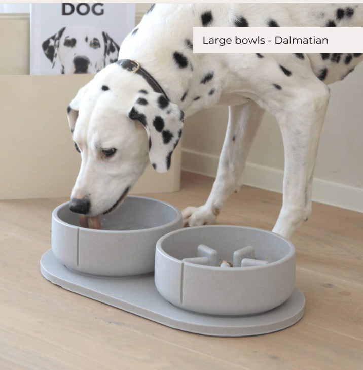Dog bowl "Pino"