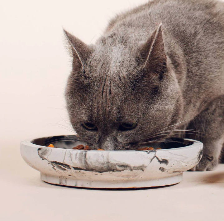 Cat bowl "Pino"
