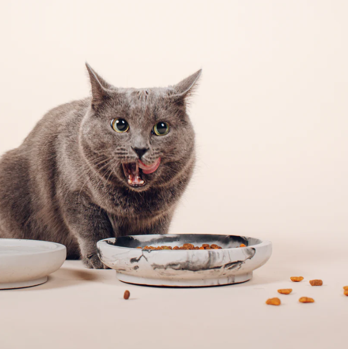 Cat bowl "Pino"